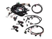 Holley Performance 558 506 Ford V8 Injector Harness