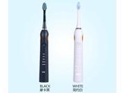 2pcs lot Best Price Oral Hygiene Dental Care TB 1206 IPX7 Waterproof Rechargeable Ultrasonic Electric Toothbrush 2 Brush Heads