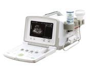 CMS600B2 Veterinary Use Ultrasound Scanner Machine For Animal Examination