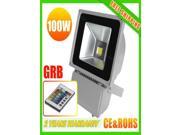CE ROHS approved Hot sale by DHL 100W RGB Flood light For wholesale