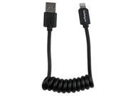 1 Coiled Lightning USB Cable