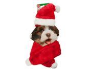 Holiday Pet Santa Hat Scarf Set Set of 4 Seasonal Christmas Wholesale