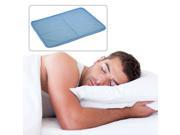 Generic Temperature Regulating Cooling Gel Pillow
