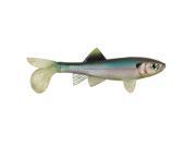 Berkley 1280555 Havoc Sick Fish, 4 Berkley 1280555 Havoc Sick Fish, 4