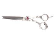 RazorSharp Point Cut Pro 5.75 inch Double Dragon Professional Hair Cutting Scissors Shears