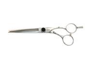 RazorSharp Point Cut Pro 6 inch Professional Hair Cutting Scissors Shears