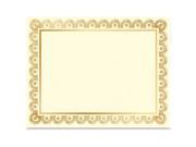 Elegant Foil Certificate Hvy Wt 10 PK Gold GEO47830