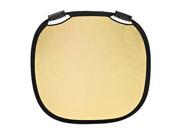 Profoto 47.24 120cm Large Collapsible Reflector Gold White 100965