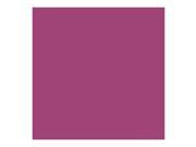 Savage Seamless Background Paper 107 wide x 12 yards Ruby 67 67 12