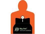 XS Sight Big Dot Tritium Express Set for Smith Wesson Sigma Pistol SW 0001S 3