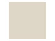 Adorama Seamless Background Paper 53 wide x 12 yards Silver Gray 30 12752