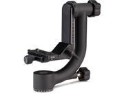 Benro GH2 Aluminum Gimbal Head with PL100 Plate