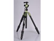 EAN 6944326312154 product image for FotoPro C5i 4-Section Tripod with Built-In Monopod & FPH-52Q Ball Head, Green | upcitemdb.com