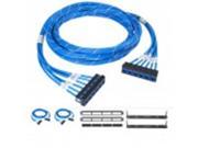 Pre terminated UTP Cassette Patch Panel Kit with 75 Feet CAT 6A Cable Assembly 12 Ports Bezel to Bezel