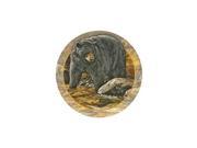 Black Bear Thirstystone Sandstone Coasters