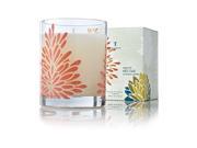 Thymes Agave Nectar Poured Candle *NEW*