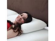 Remedy Comfort Gel Memory Foam Pillow with Cover