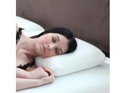 Natural Pedic Large Memory Foam Pillow with Cover
