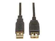 Tripp Lite Gold USB extension cable - 6 ft Tripp Lite Gold USB extension cable - 6 ft