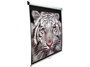 Elite Screens Manual Pull Down Projection Screen