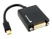 StarTech.com Mini DisplayPort to DVI Video Adapter Converter DV ...