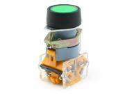 1NO 1NC DPST Panel Mounting Green Indicator Lamp Push Button Switch 660V 10A