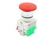 660V 10A DPST Momentary Action Red Mushroom Head Push Button Switch