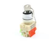 Rotary Selector 2 Position Key Lock Pushbutton Switch 660V 10A NO NC
