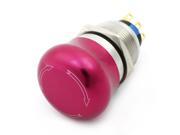 22mm Locking Typed SPDT Metal Emergency Push Button Switch AC 250V 5A 22mm Locking Typed SPDT Metal Emergency Push Button Switch AC 250V 5A