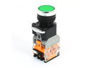 DPST Round Head Operator Green Indicator Light Push Button Switch 660V 10A