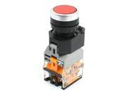 660V 10A Red Indicator Momentary DPST NO NC Flat Push Button Switch