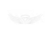 Truck Car Exterior Silver Tone Angel Wing Shape Badge Emblem Sticker