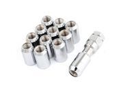 M12 x 1.25 Silver Tone Metal Hex Locking Lug Nuts 12 Pcs for Auto Wheel