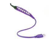 Laptop Purple Eggplant Design Flexible Gooseneck White Light 7 LEDs USB Lamp