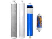 Culligan AC 30 Compatible Filters Replacement Cartridge and Membrane Set of 4 by CFS