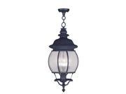 Livex Lighting Frontenac Outdoor Chain Hang in Black 7910 04