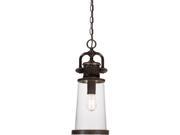 Quoizel 1 Light Steadman Outdoor Hanging Lantern Imperial Bronze SDN1908IB