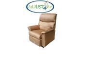 AdJUST4Me Brand Pyxis Electric Lift Chair with Microfiber Fabric
