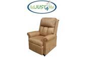 AdJUST4Me Brand Corvus Electric Lift Chair with Microfiber Fabric