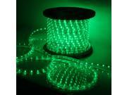 150 2 Wire 110V LED Rope Light RGB Yellow Red Green Blue Cool Warm White