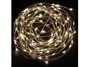 Warm White 10M 100 LED Copper Wire LED String Fairy Lights Lamp For Decoration