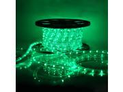 100 LED Rope Light 110V Home Party Christmas Decorative In Outdoor