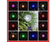 1 Piece Solar Powered Sun Flower Garden Yard Stake Color Change Light LED Gift