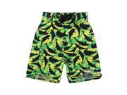 Boy Board Shorts in Green Yellow with Navy Blue Dolphin Print
