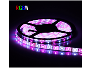 LED5050 RGB Flexible Waterproof Colorful color 12V Strip Lighting RGBW