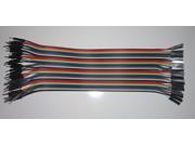 WWH 40P dupont cable 200mm male to female