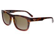 Salvatore Ferragamo SF789 S 207 Havana Red Wayfarer Sunglasses