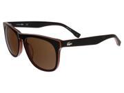 Lacoste L818 S 210 Brown Wayfarer sunglasses Sunglasses