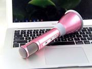 Portable Stereo Mini Karaoke Microphone Player with Bluetooth Speaker KTV Effect Pink