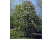 Vincent Van Gogh Chestnut Tree in Bloom - 16 Vincent Van Gogh Chestnut Tree in Bloom - 16